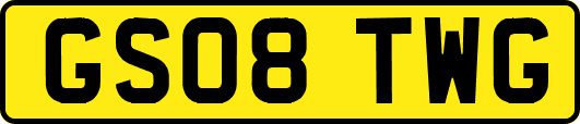GS08TWG