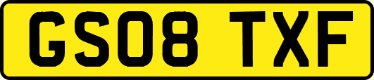 GS08TXF
