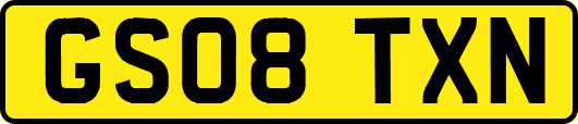 GS08TXN