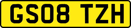 GS08TZH