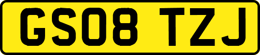 GS08TZJ