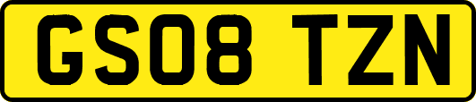 GS08TZN