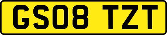 GS08TZT