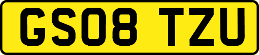 GS08TZU