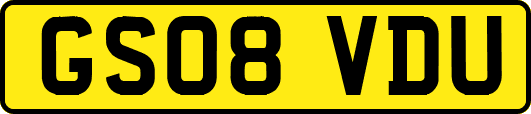 GS08VDU