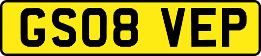 GS08VEP