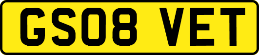 GS08VET