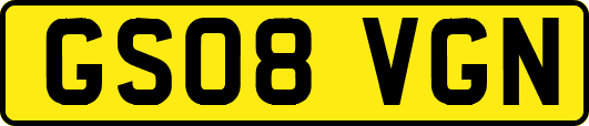 GS08VGN