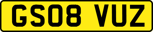GS08VUZ