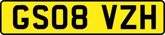 GS08VZH