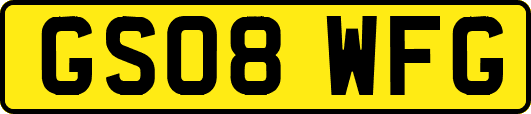 GS08WFG