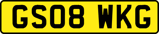 GS08WKG