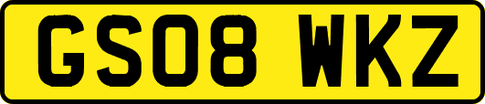 GS08WKZ
