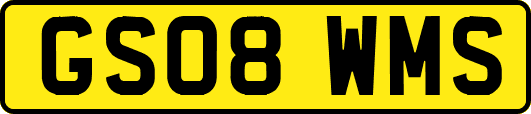 GS08WMS