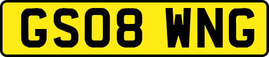 GS08WNG