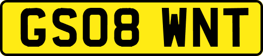GS08WNT