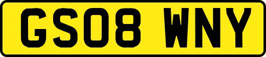 GS08WNY