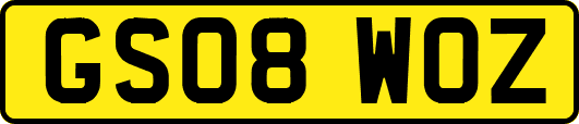 GS08WOZ