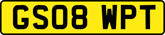 GS08WPT
