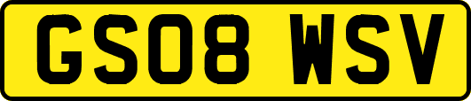 GS08WSV