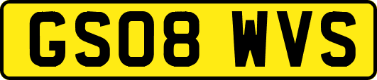 GS08WVS