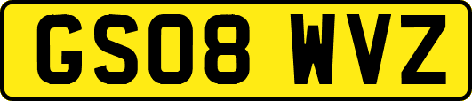 GS08WVZ