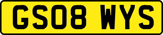 GS08WYS