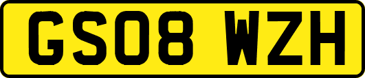 GS08WZH