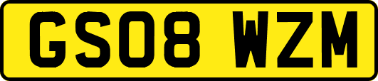 GS08WZM