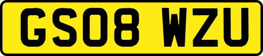 GS08WZU
