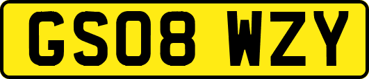GS08WZY