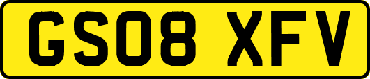GS08XFV