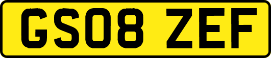 GS08ZEF