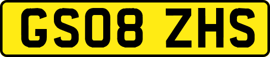 GS08ZHS