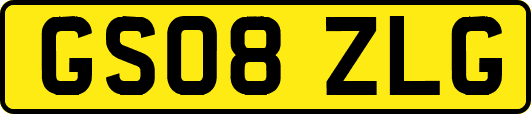 GS08ZLG