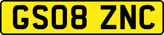 GS08ZNC
