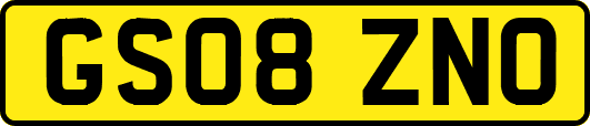 GS08ZNO