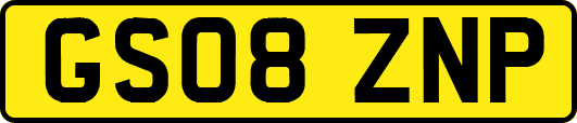 GS08ZNP