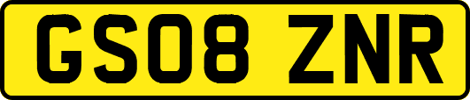 GS08ZNR