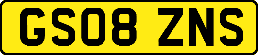 GS08ZNS