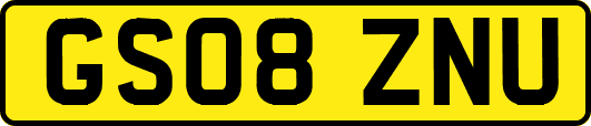 GS08ZNU