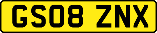 GS08ZNX