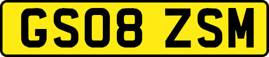GS08ZSM