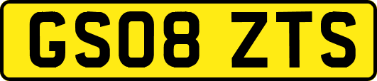 GS08ZTS