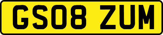 GS08ZUM