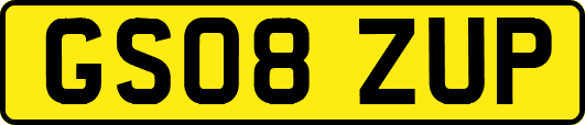 GS08ZUP