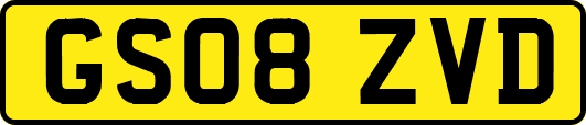 GS08ZVD