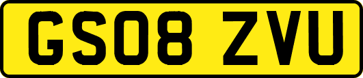 GS08ZVU