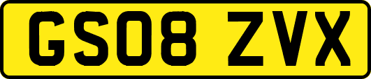 GS08ZVX