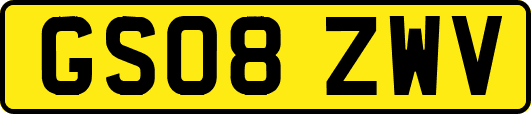GS08ZWV